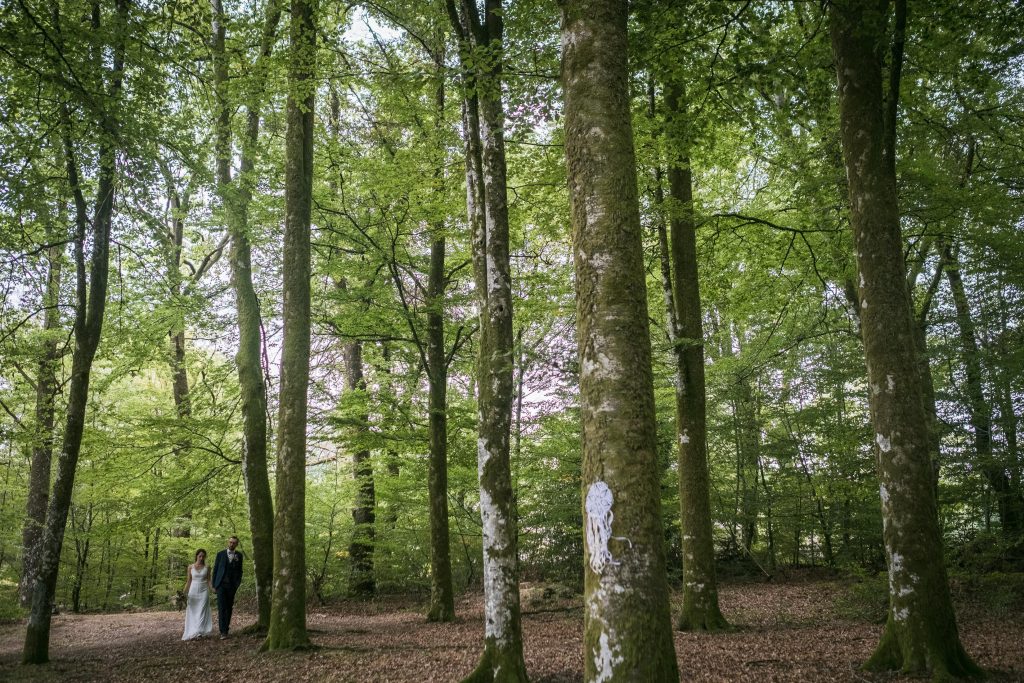 photographe mariage étangs de taysse mariés arrivent à la cérémonie laïque